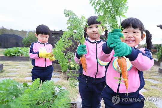 채소 수확 체험하는 아이들. <사진: 연합뉴스>